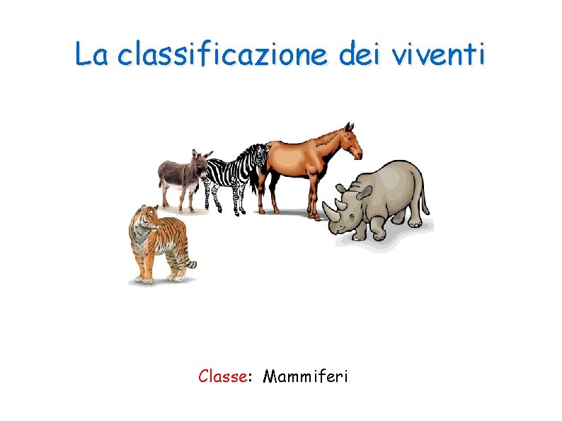La classificazione dei viventi Classe: Mammiferi 