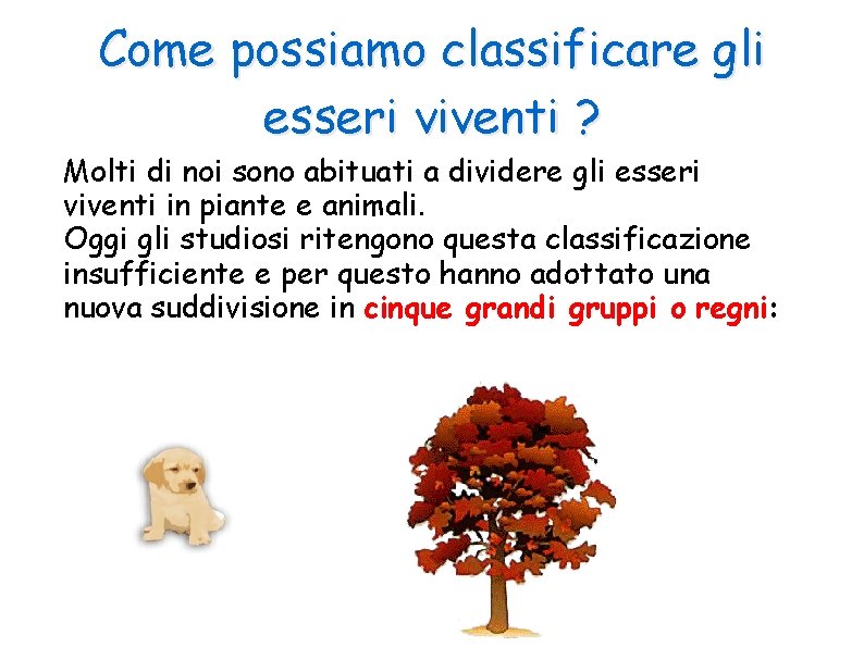 Come possiamo classificare gli esseri viventi ? Molti di noi sono abituati a dividere