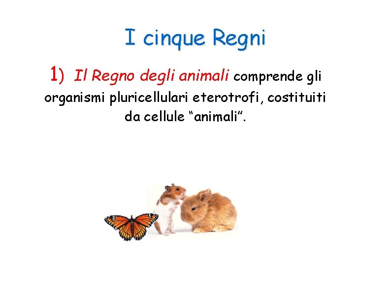 I cinque Regni 1) Il Regno degli animali comprende gli organismi pluricellulari eterotrofi, costituiti