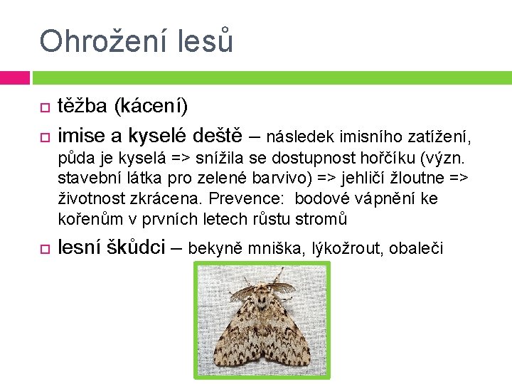 Ohrožení lesů těžba (kácení) imise a kyselé deště – následek imisního zatížení, půda je