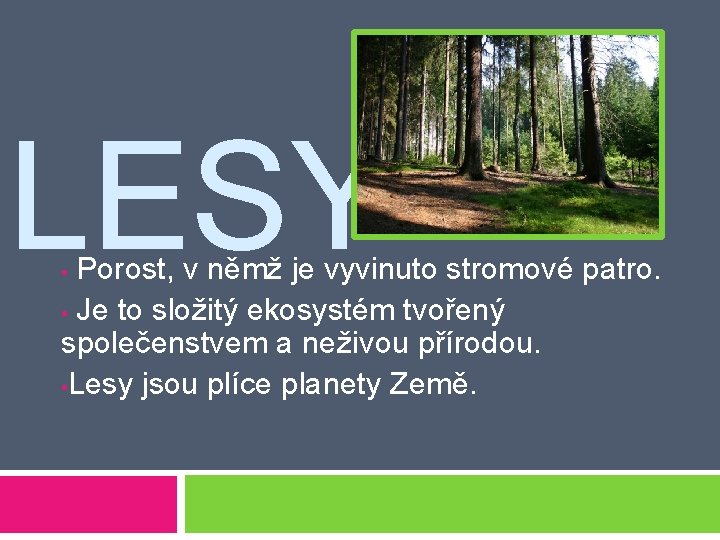 LESY Porost, v němž je vyvinuto stromové patro. • Je to složitý ekosystém tvořený