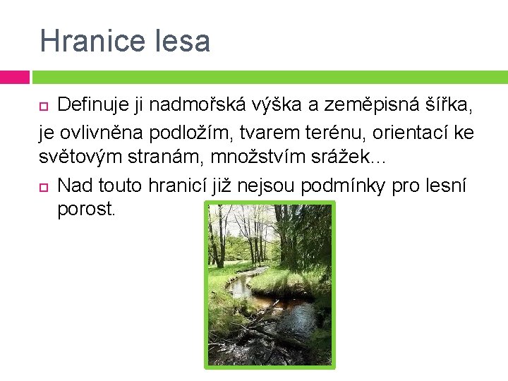 Hranice lesa Definuje ji nadmořská výška a zeměpisná šířka, je ovlivněna podložím, tvarem terénu,