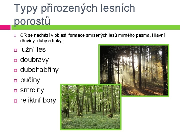 Typy přirozených lesních porostů ČR se nachází v oblasti formace smíšených lesů mírného pásma.