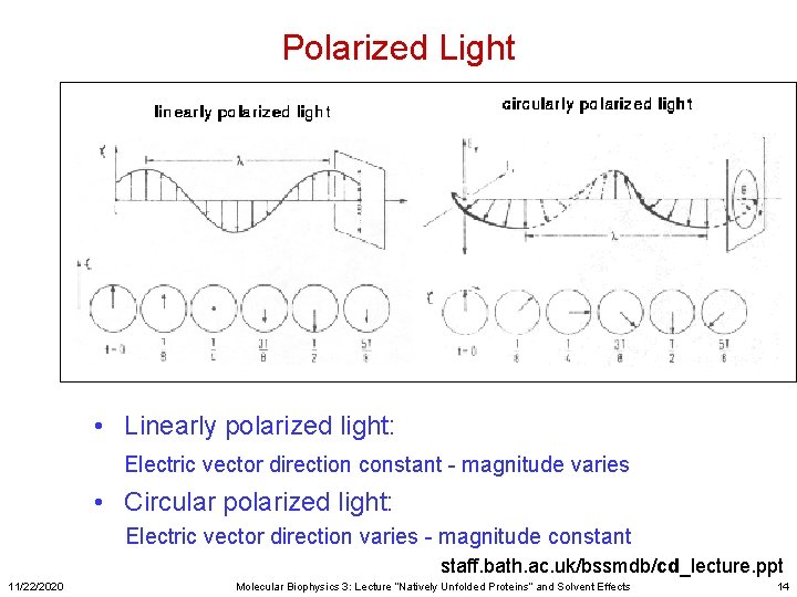 Polarized Light Crystals dark Crystals light • Linearly polarized light: Electric vector direction constant