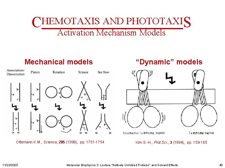 CHEMOTAXIS AND PHOTOTAXIS Activation Mechanism Models Mechanical models Ottemann K. M. , Science, 285