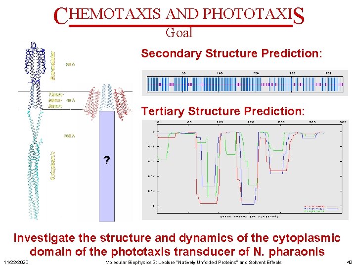 CHEMOTAXIS AND PHOTOTAXIS Goal Secondary Structure Prediction: Tertiary Structure Prediction: Investigate the structure and