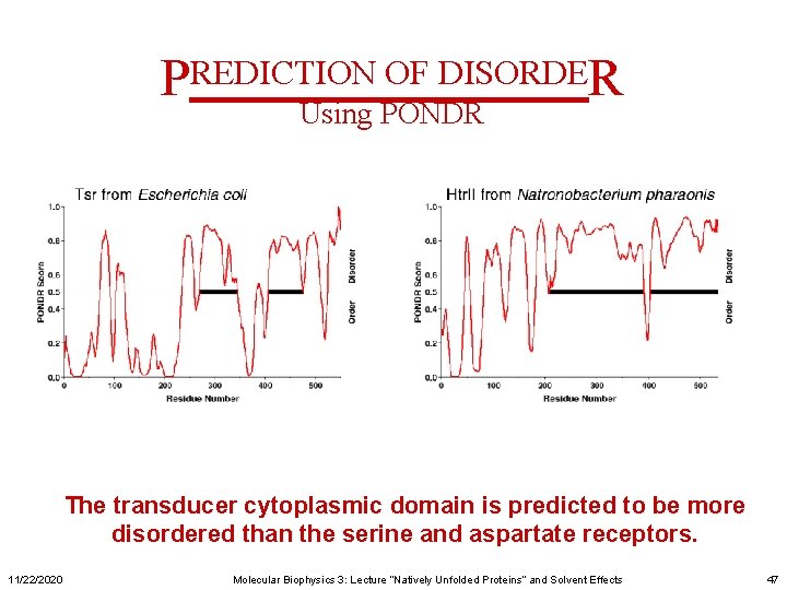 PREDICTION OF DISORDER Using PONDR The transducer cytoplasmic domain is predicted to be more