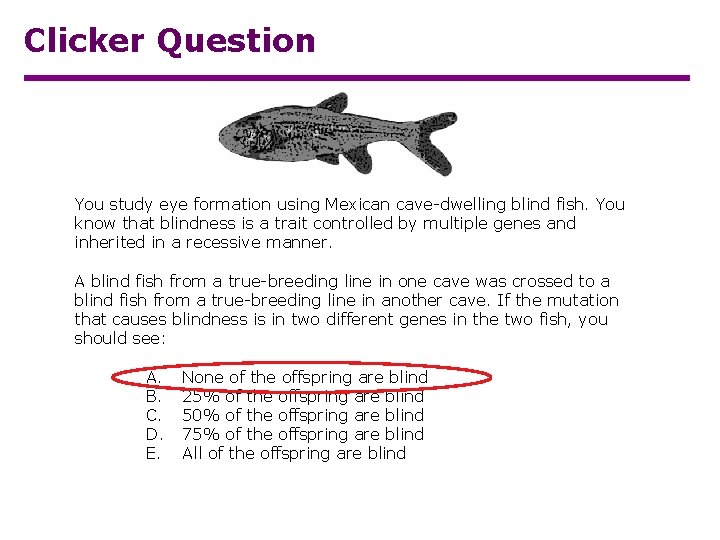 Clicker Question You study eye formation using Mexican cave-dwelling blind fish. You know that