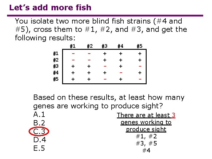 Let’s add more fish You isolate two more blind fish strains (#4 and #5),