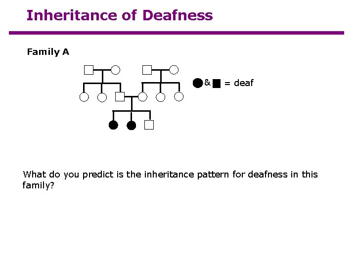 Inheritance of Deafness Family A & = deaf What do you predict is the