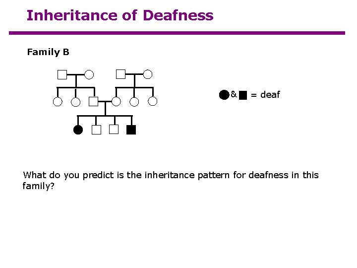Inheritance of Deafness Family B & = deaf What do you predict is the