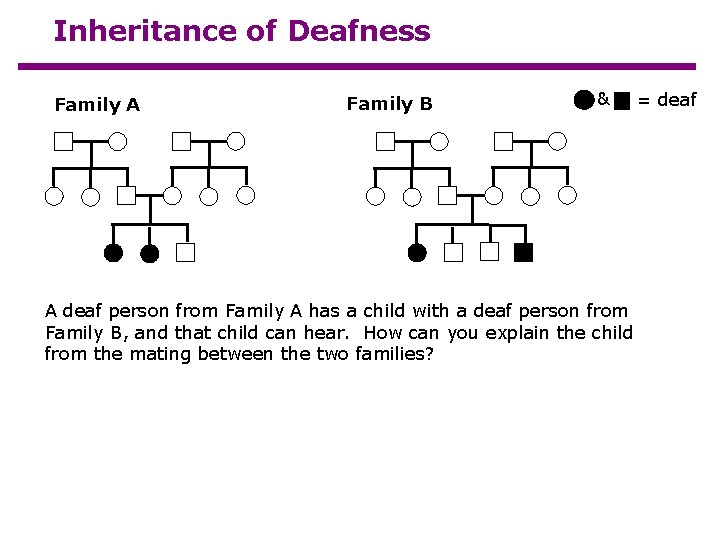 Inheritance of Deafness Family A Family B & A deaf person from Family A