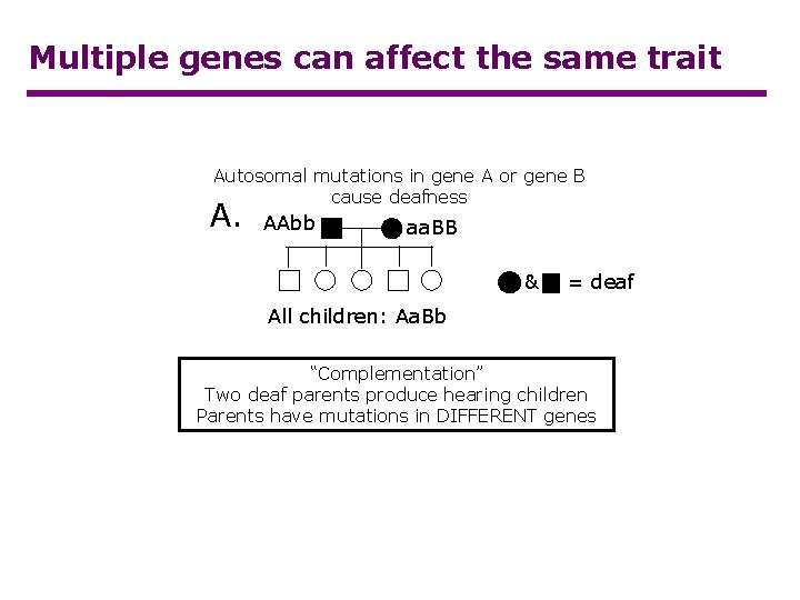 Multiple genes can affect the same trait Autosomal mutations in gene A or gene