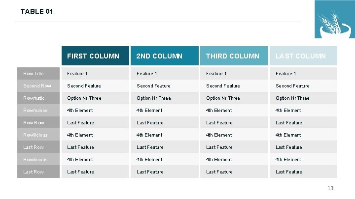 TABLE 01 FIRST COLUMN 2 ND COLUMN THIRD COLUMN LAST COLUMN Row Title Feature TABLE 01 FIRST COLUMN 2 ND COLUMN THIRD COLUMN LAST COLUMN Row Title Feature