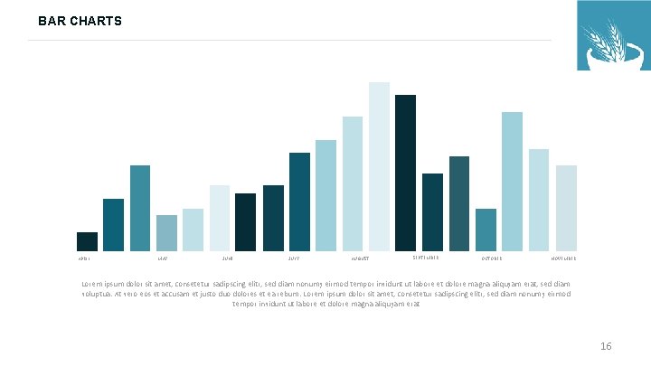 BAR CHARTS APRIL MAY JUNE JULY AUGUST SEPTEMBER OCTOBER NOVEMBER Lorem ipsum dolor sit BAR CHARTS APRIL MAY JUNE JULY AUGUST SEPTEMBER OCTOBER NOVEMBER Lorem ipsum dolor sit