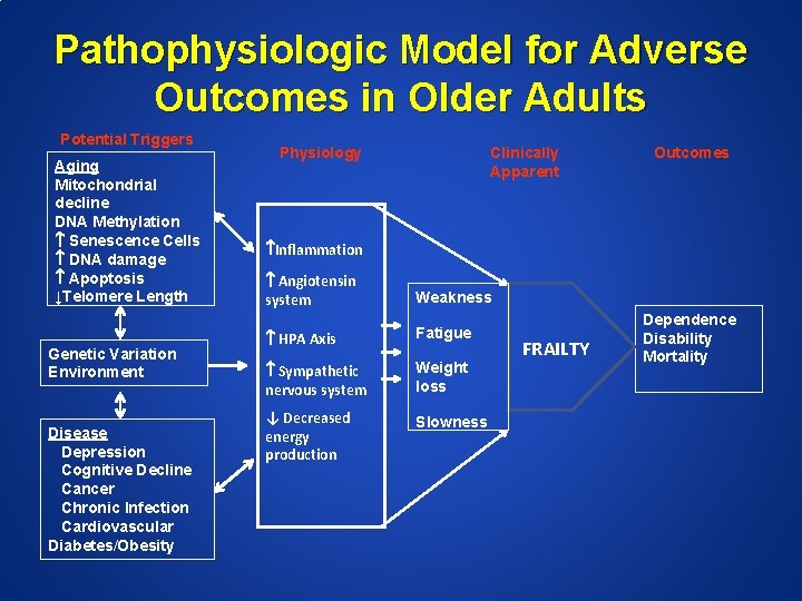 Pathophysiologic Model for Adverse Outcomes in Older Adults Potential Triggers Aging Mitochondrial decline DNA