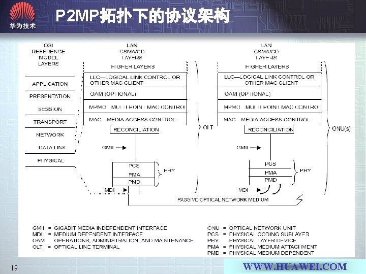 P 2 MP拓扑下的协议架构 19 WWW. HUAWEI. COM 