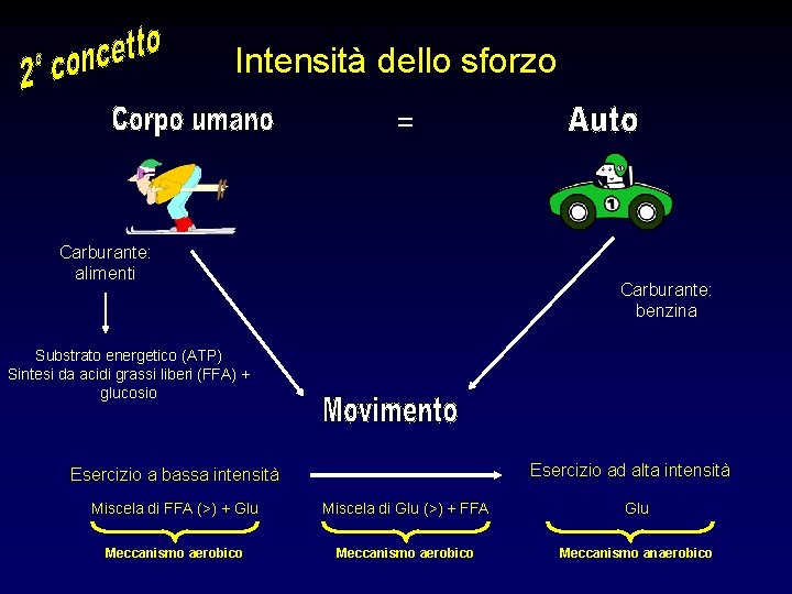 Intensità dello sforzo = Carburante: alimenti Carburante: benzina Substrato energetico (ATP) Sintesi da acidi