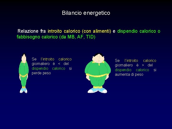 Bilancio energetico Relazione fra introito calorico (con alimenti) e dispendio calorico o fabbisogno calorico