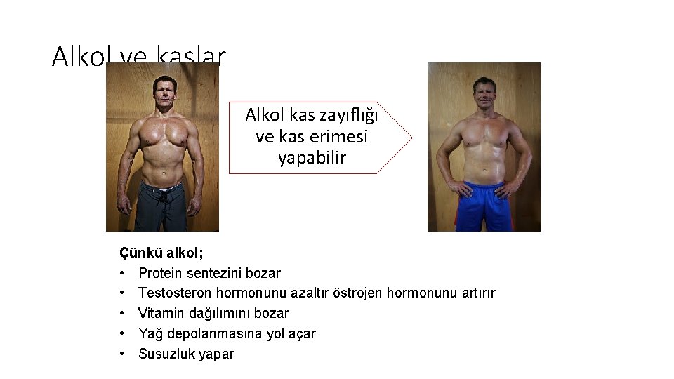 Alkol ve kaslar Alkol kas zayıflığı ve kas erimesi yapabilir Çünkü alkol; • Protein