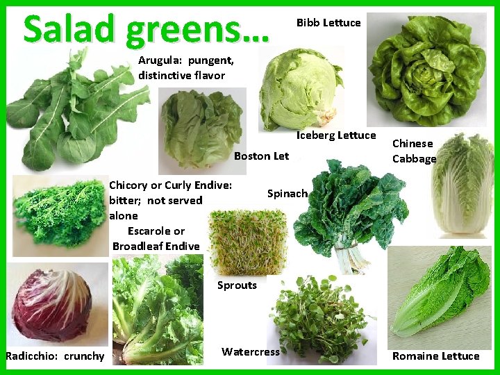 Salad greens… Bibb Lettuce Arugula: pungent, distinctive flavor Iceberg Lettuce Boston Lettuce Chicory or