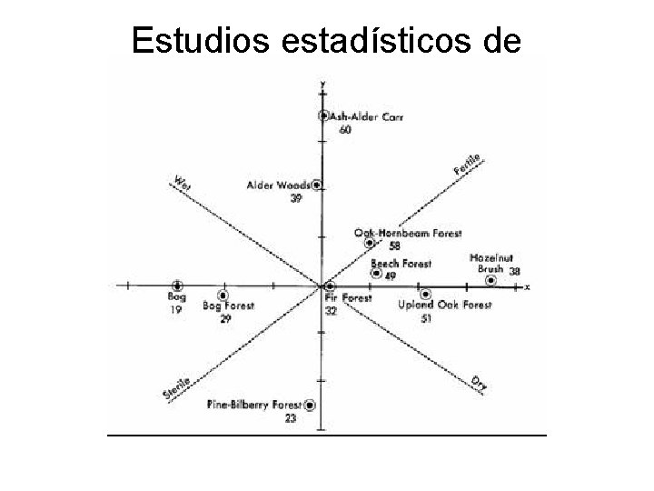 Estudios estadísticos de composición 