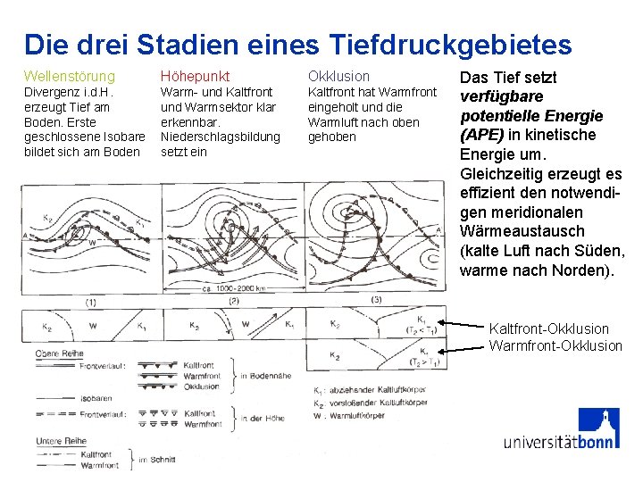 Die drei Stadien eines Tiefdruckgebietes Wellenstörung Höhepunkt Okklusion Divergenz i. d. H. erzeugt Tief