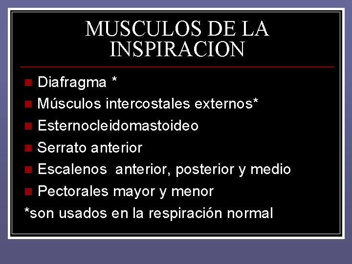 MUSCULOS DE LA INSPIRACION Diafragma * n Músculos intercostales externos* n Esternocleidomastoideo n Serrato MUSCULOS DE LA INSPIRACION Diafragma * n Músculos intercostales externos* n Esternocleidomastoideo n Serrato