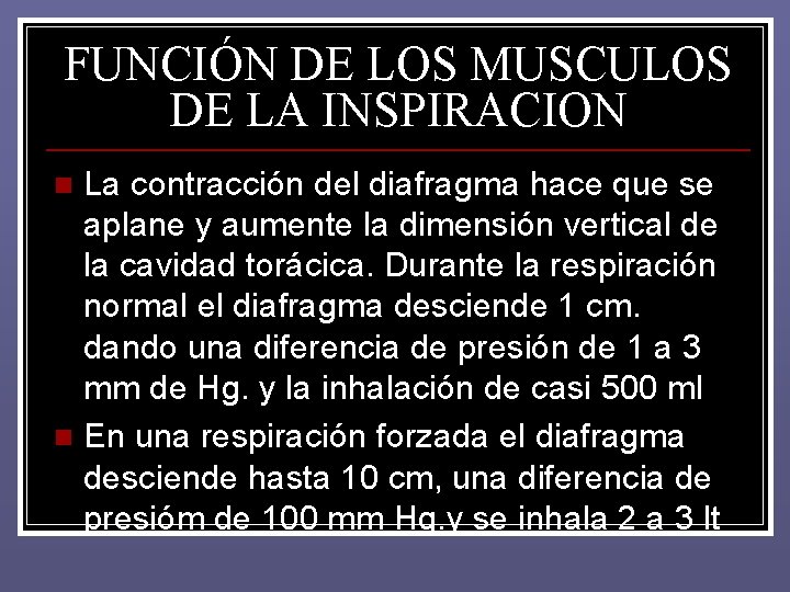 FUNCIÓN DE LOS MUSCULOS DE LA INSPIRACION La contracción del diafragma hace que se FUNCIÓN DE LOS MUSCULOS DE LA INSPIRACION La contracción del diafragma hace que se