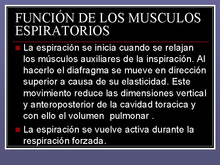 FUNCIÓN DE LOS MUSCULOS ESPIRATORIOS La espiración se inicia cuando se relajan los músculos FUNCIÓN DE LOS MUSCULOS ESPIRATORIOS La espiración se inicia cuando se relajan los músculos
