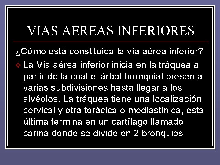 VIAS AEREAS INFERIORES ¿Cómo está constituida la vía aérea inferior? v La Vía aérea VIAS AEREAS INFERIORES ¿Cómo está constituida la vía aérea inferior? v La Vía aérea