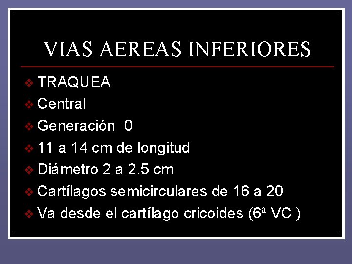 VIAS AEREAS INFERIORES v TRAQUEA v Central v Generación 0 v 11 a 14 VIAS AEREAS INFERIORES v TRAQUEA v Central v Generación 0 v 11 a 14
