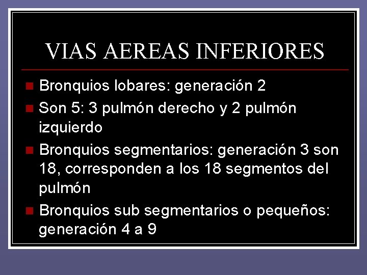 VIAS AEREAS INFERIORES Bronquios lobares: generación 2 n Son 5: 3 pulmón derecho y VIAS AEREAS INFERIORES Bronquios lobares: generación 2 n Son 5: 3 pulmón derecho y