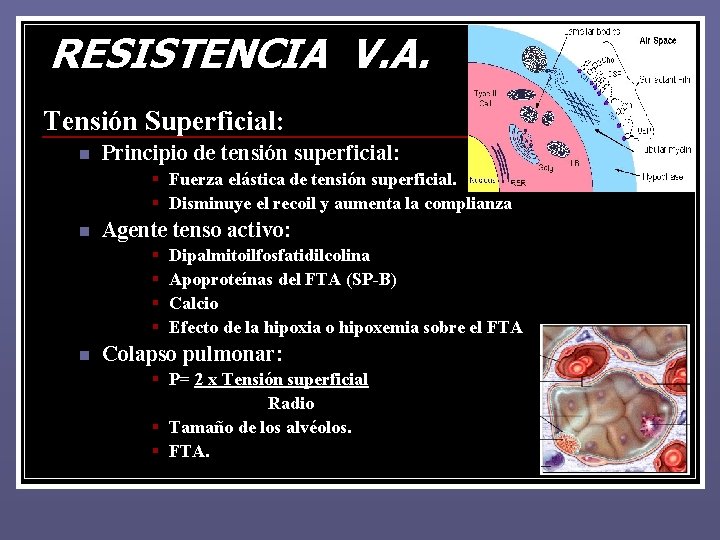 RESISTENCIA V. A. Tensión Superficial: n Principio de tensión superficial: § Fuerza elástica de RESISTENCIA V. A. Tensión Superficial: n Principio de tensión superficial: § Fuerza elástica de