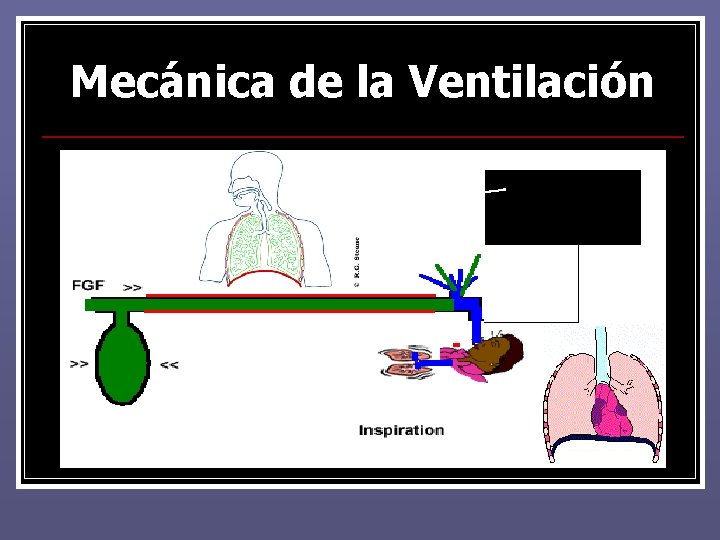 Mecánica de la Ventilación Mecánica de la Ventilación
