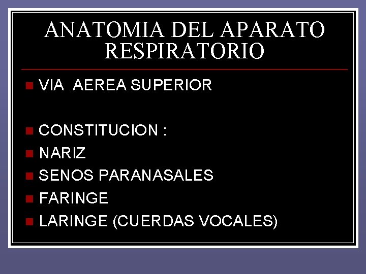ANATOMIA DEL APARATO RESPIRATORIO n VIA AEREA SUPERIOR CONSTITUCION : n NARIZ n SENOS ANATOMIA DEL APARATO RESPIRATORIO n VIA AEREA SUPERIOR CONSTITUCION : n NARIZ n SENOS