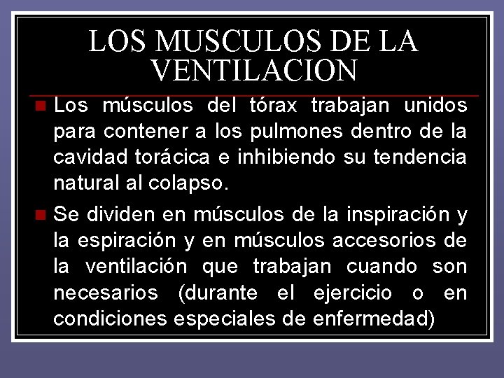 LOS MUSCULOS DE LA VENTILACION Los músculos del tórax trabajan unidos para contener a LOS MUSCULOS DE LA VENTILACION Los músculos del tórax trabajan unidos para contener a