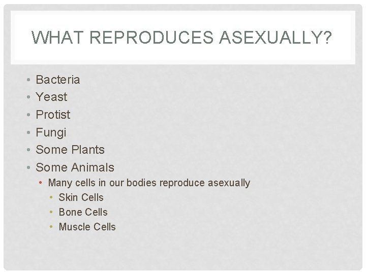WHAT REPRODUCES ASEXUALLY? • • • Bacteria Yeast Protist Fungi Some Plants Some Animals