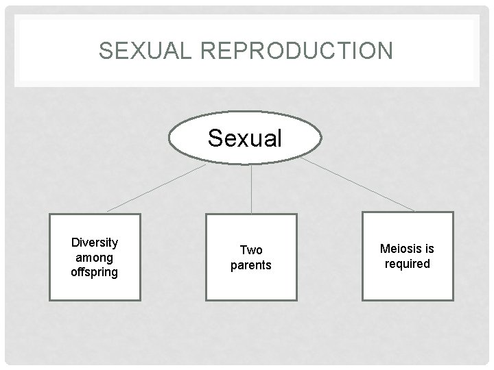 SEXUAL REPRODUCTION Sexual Diversity among offspring Two parents Meiosis is required 