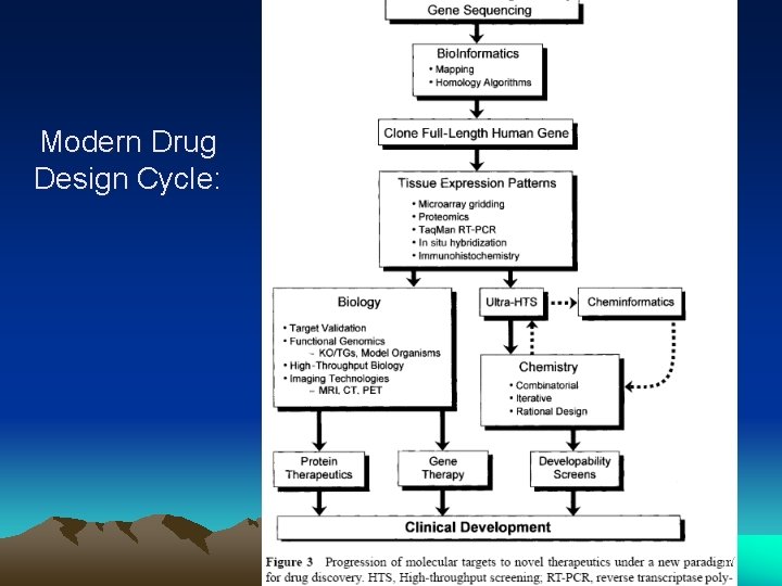 Modern Drug Design Cycle: 17 