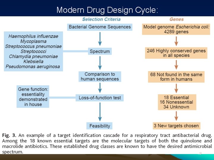 Modern Drug Design Cycle: 19 