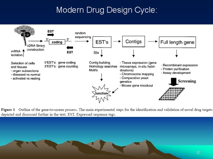 Modern Drug Design Cycle: 20 