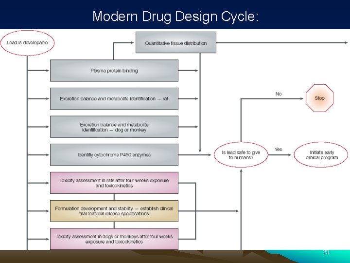 Modern Drug Design Cycle: 23 