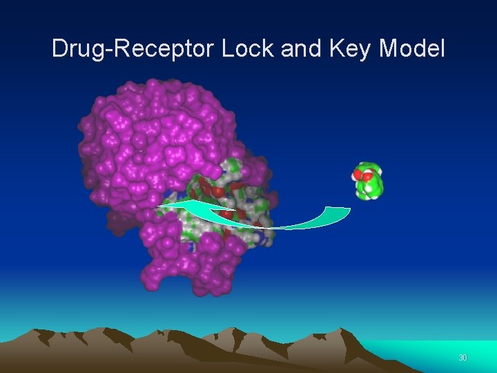 Drug-Receptor Lock and Key Model 30 