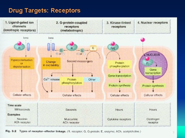 Drug Targets: Receptors 33 