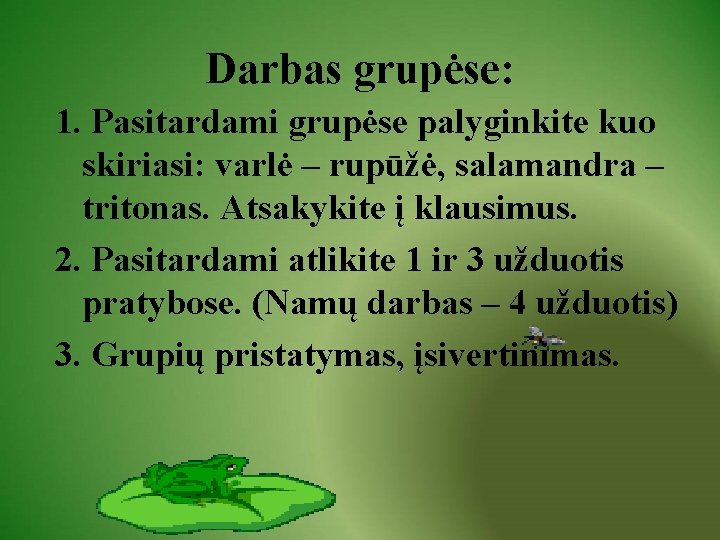 Darbas grupėse: 1. Pasitardami grupėse palyginkite kuo skiriasi: varlė – rupūžė, salamandra – tritonas.