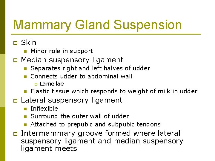 Mammary Gland Suspension p Skin n p Minor role in support Median suspensory ligament