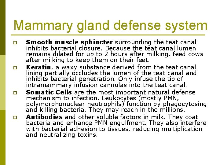 Mammary gland defense system p p Smooth muscle sphincter surrounding the teat canal inhibits