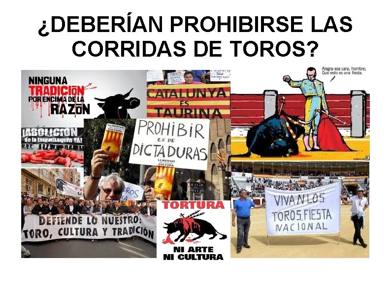 ¿DEBERÍAN PROHIBIRSE LAS CORRIDAS DE TOROS? 