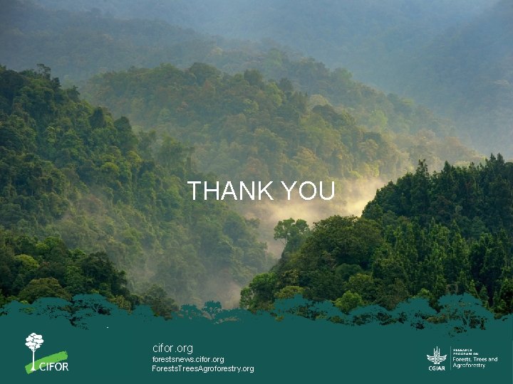 THANK YOU cifor. org forestsnews. cifor. org Forests. Trees. Agroforestry. org 